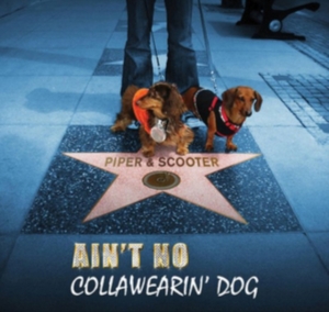 Piper & Scooter - Ain't No Collawearin' Dog i gruppen ÖVRIGT / Övrigt / aub hos Bengans Skivbutik AB (2396880)
