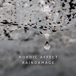 Nordic Affect - Raindamage i gruppen VI TIPSAR / Julklappstips CD hos Bengans Skivbutik AB (2397021)