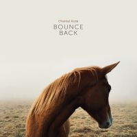 Acda Chantal - Bounce Back (Inkl.Cd) i gruppen VINYL / Pop-Rock hos Bengans Skivbutik AB (2400172)