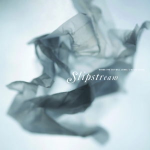 Slipstream - Maybe The Day Will Come/Like No Oth i gruppen VINYL / Rock hos Bengans Skivbutik AB (2400183)