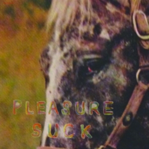 Spirit Of The Beehive - Pleasure Suck i gruppen CD / Pop-Rock hos Bengans Skivbutik AB (2404630)