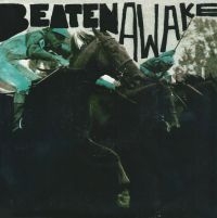 Beaten Awake - Coming Home i gruppen VINYL / Pop-Rock hos Bengans Skivbutik AB (2404663)