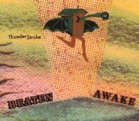 Beaten Awake - Thunderstroke i gruppen VINYL / Pop-Rock hos Bengans Skivbutik AB (2404671)