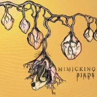 Mimicking Birds - Mimicking Birds i gruppen CD / Pop-Rock hos Bengans Skivbutik AB (2404696)