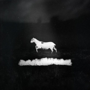 Les Discrets - Predateurs (2 Cd/Dvd Rom Hardcover i gruppen ÖVRIGT / Övrigt / aub hos Bengans Skivbutik AB (2409431)