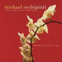 Occhipinti   Michael - Chasing After Light i gruppen CD / Pop-Rock hos Bengans Skivbutik AB (2414178)