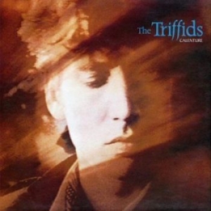 Triffids - Calenture i gruppen CD / Pop-Rock hos Bengans Skivbutik AB (2414251)