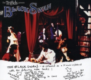 Triffids - Black Swan i gruppen CD / Pop-Rock hos Bengans Skivbutik AB (2414252)
