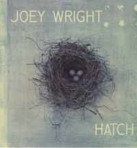 Wright Joey - Hatch i gruppen CD / Pop-Rock hos Bengans Skivbutik AB (2417819)