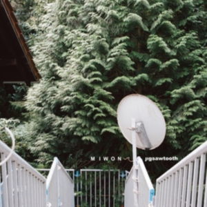 Miwon - Jigsawtooth i gruppen CD / Pop-Rock hos Bengans Skivbutik AB (2425241)