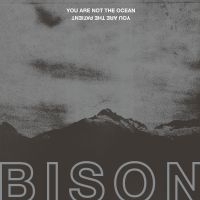 Bison - You Are Not The Ocean You Are The P i gruppen VINYL / Pop-Rock hos Bengans Skivbutik AB (2437222)