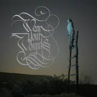 Wear Your Wounds - Wyw i gruppen CD / Hårdrock hos Bengans Skivbutik AB (2451032)