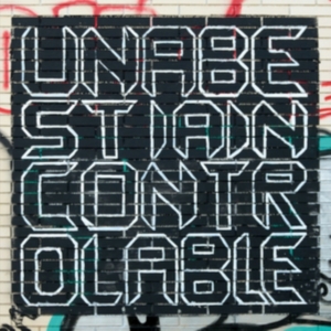 Una Bestia Incontrolable - Mnetamorfosi i gruppen VINYL / Pop-Rock hos Bengans Skivbutik AB (2461901)