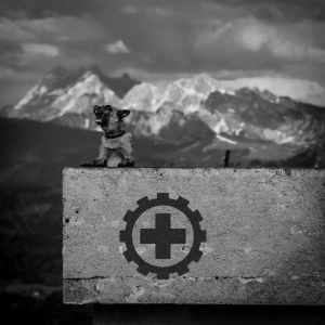 Laibach - Also Sprach Zarathustra i gruppen Minishops / Laibach hos Bengans Skivbutik AB (2461930)