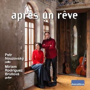 Various - Après Un Rêve i gruppen Externt_Lager / Naxoslager hos Bengans Skivbutik AB (2518562)