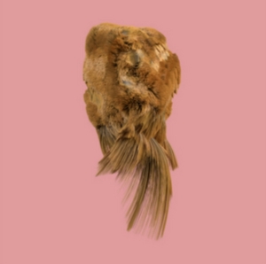 HOLY FAMILY - VALUES i gruppen CD / Pop-Rock hos Bengans Skivbutik AB (2520056)