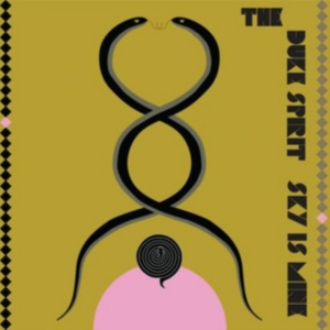 Duke Spirit - Sky Is Mine i gruppen VINYL / Pop-Rock hos Bengans Skivbutik AB (2520061)