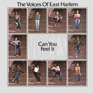 Voices Of East Harlem - Can You Feel It i gruppen VINYL / RNB, Disco & Soul hos Bengans Skivbutik AB (2538552)