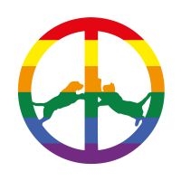 Hype Williams - Rainbow Edition i gruppen CD / Kommande / Dans/Techno hos Bengans Skivbutik AB (2542704)