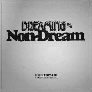 Chris Forsyth & The Solar Motel Ban - Dreaming In The Non-Dream i gruppen VINYL / Pop-Rock hos Bengans Skivbutik AB (2543295)