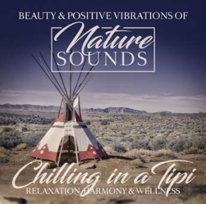 Blandade Artister - Chilling In A Tipi i gruppen CD / Pop hos Bengans Skivbutik AB (2545390)