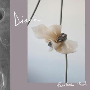 Diana - Familiar Touch i gruppen VINYL / Pop hos Bengans Skivbutik AB (2547812)