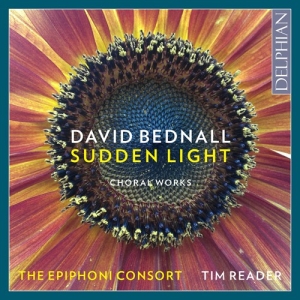 Bednall David - Sudden Light i gruppen VI TIPSAR / Julklappstips CD hos Bengans Skivbutik AB (2547854)