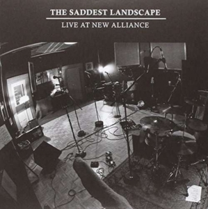 Saddest Landscape - Live At New Alliance East - 7