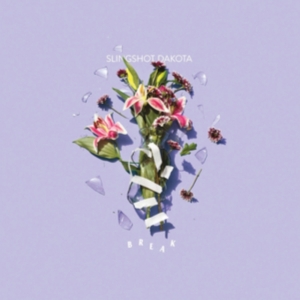 Slingshot Dakota - Break i gruppen VINYL / Pop-Rock hos Bengans Skivbutik AB (2548904)