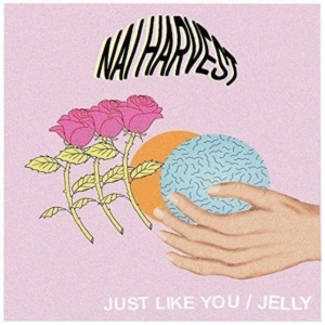 Nai Harvest - Just Like You - i gruppen VINYL / Pop-Rock hos Bengans Skivbutik AB (2549017)