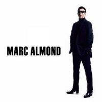 Marc Almond - Shadows And Reflections i gruppen VINYL / Pop-Rock hos Bengans Skivbutik AB (2549579)