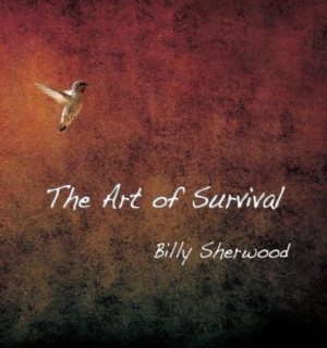 Sherwood Billy - Art Of Survival i gruppen CD / Pop-Rock hos Bengans Skivbutik AB (2551733)