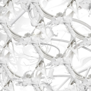 Ziúr - U Feel Anything? i gruppen VINYL / Pop-Rock hos Bengans Skivbutik AB (2557317)