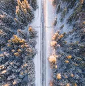 BVDUB - HEARTLESS i gruppen CD / Pop-Rock hos Bengans Skivbutik AB (2560265)