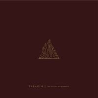 TRIVIUM - THE SIN AND THE SENTENCE i gruppen VI TIPSAR / Julklappstips CD hos Bengans Skivbutik AB (2618080)