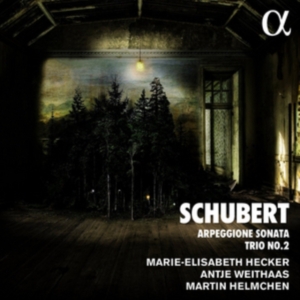 Schubert Franz - Arpeggione Sonata & Trio No. 2 i gruppen Externt_Lager / Naxoslager hos Bengans Skivbutik AB (2721330)