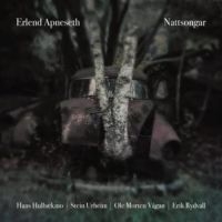 Apneseth Erlend - Nattsongar i gruppen VINYL / Pop-Rock hos Bengans Skivbutik AB (2728640)