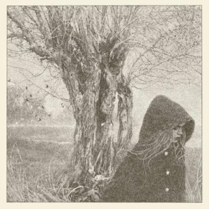 Lankum - Between The Earth And Sky i gruppen VINYL / Pop-Rock hos Bengans Skivbutik AB (2765592)