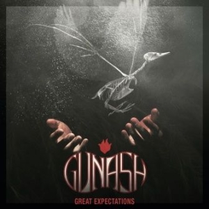 Gunash - Great Expectations i gruppen VINYL / Rock hos Bengans Skivbutik AB (2822261)