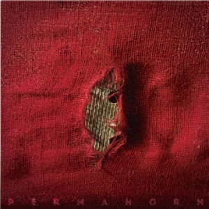 Permahorn - My Blood Carries My Dreams Away (Re i gruppen VINYL / Rock hos Bengans Skivbutik AB (2851465)