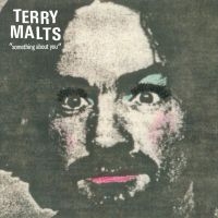 Terry Malts - Something About You i gruppen VINYL / Pop-Rock hos Bengans Skivbutik AB (3013823)