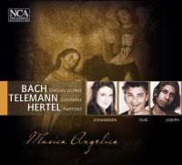 Musica Angelica - Bach, Telemann, Hertel i gruppen CD / Pop-Rock hos Bengans Skivbutik AB (3043468)