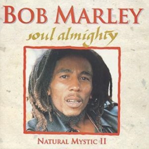 Bob Marley - Natural Mystic i gruppen ÖVRIGT / Övrigt / aub hos Bengans Skivbutik AB (3043652)