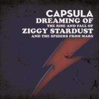 Capsula - Dreaming Of/ The Rise And Fall i gruppen VINYL / Pop-Rock hos Bengans Skivbutik AB (3044194)