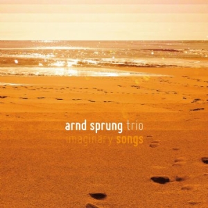 Sprung Arnd (Trio) - Imaginary Songs i gruppen CD / Jazz/Blues hos Bengans Skivbutik AB (3049826)