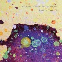 Molecules & Erlend Skimsvoll - Louder Than You i gruppen CD / Jazz hos Bengans Skivbutik AB (3049925)