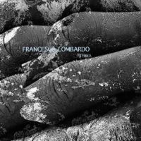 Lombardo Francesca - Terra i gruppen VINYL / Dance-Techno hos Bengans Skivbutik AB (3052735)