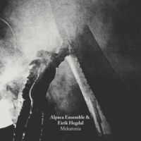 Alpaca Ensemble - Eirik Hegdal i gruppen VINYL / Jazz hos Bengans Skivbutik AB (3083087)