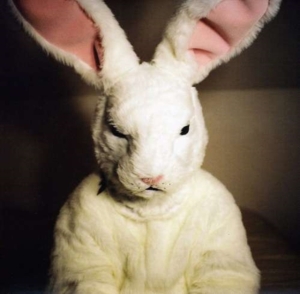 Georgias Horse - Mammoth Session i gruppen CD / Pop-Rock hos Bengans Skivbutik AB (3083532)