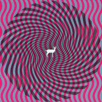 Deerhunter - Cryptograms i gruppen VINYL / Pop-Rock hos Bengans Skivbutik AB (3096980)